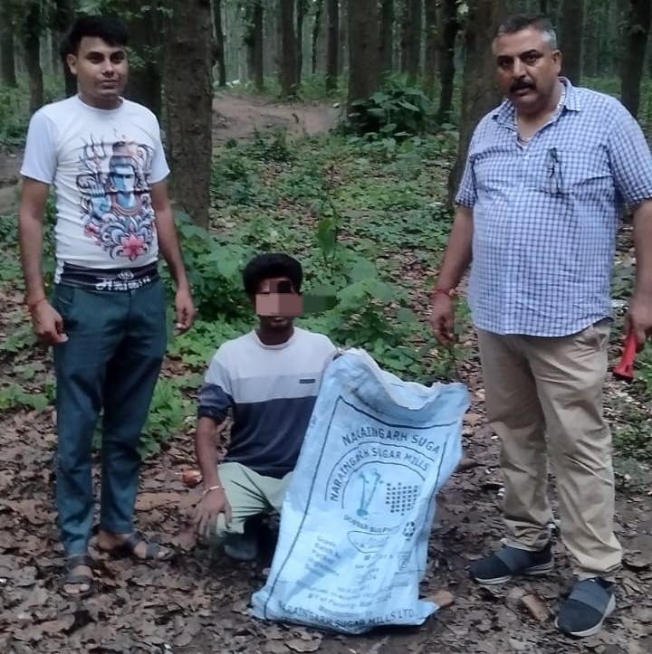 सिरमौर पुलिस कार्रवाई में नशा तस्करी और अवैध शराब बरामद आरोपी हिरासत में